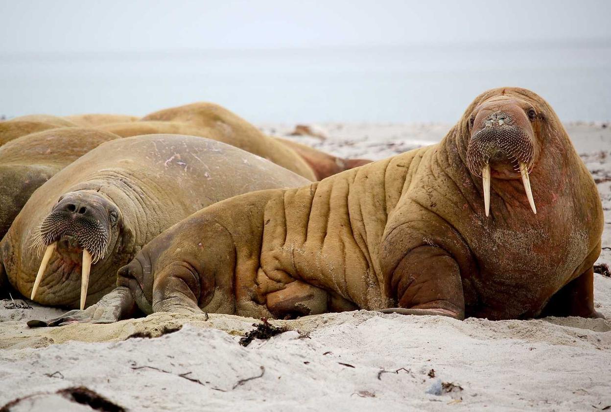 海航通信实名账号:泉州期货手机开户服务平台