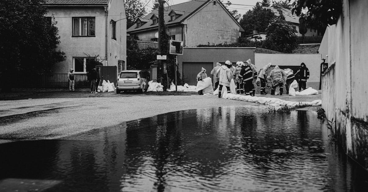 陌陌实名账号:奉贤纳税人代理记账平台