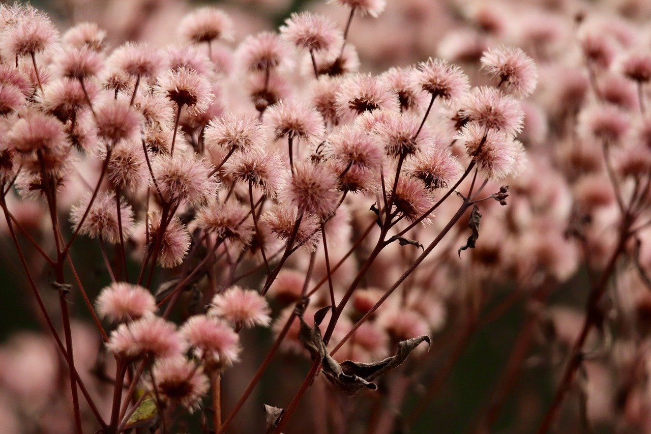 DDOS压力测试|畅聊app详情下载教程