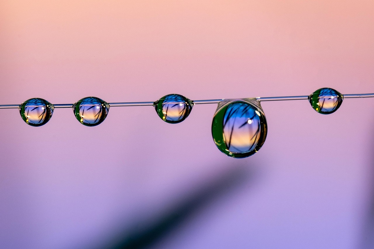 快代理ip实名账号：app福利视频详情下载教程